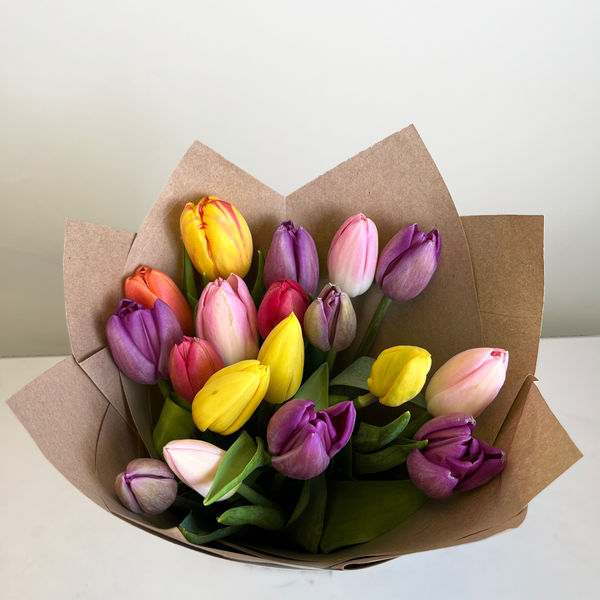 Ramo 18 Tulipanes Surtidos SANTIAGO EXPRESS