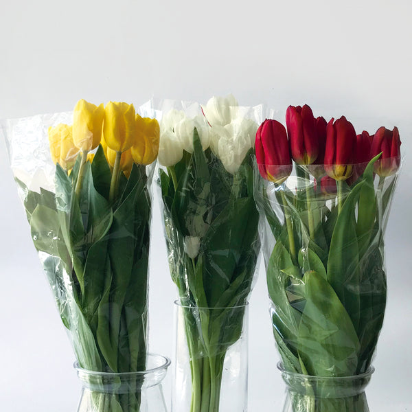 100 Tulipanes frescos / Color Mixto