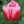 30 Tulipanes frescos Colección