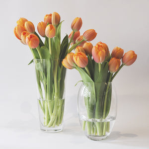 100 Tulipanes frescos / Elige 3 colores