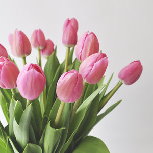 30 Tulipanes frescos / Todos del mismo color